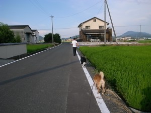 Exif_JPEG_PICTURE