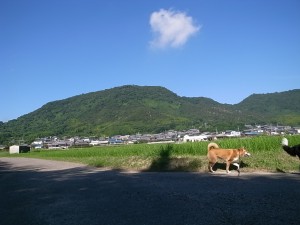 sanpo
